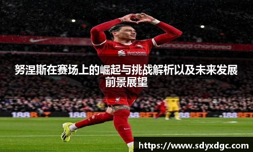 努涅斯在赛场上的崛起与挑战解析以及未来发展前景展望