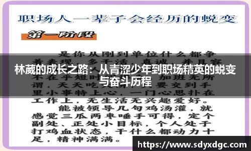 BG大游集团