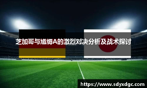 BG大游