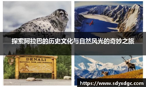 探索阿拉巴的历史文化与自然风光的奇妙之旅